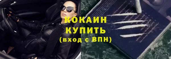 мяу мяу мука Няндома